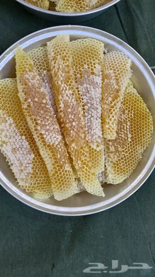 عسل سدر شمع (حجاز)انتاج جديد 1