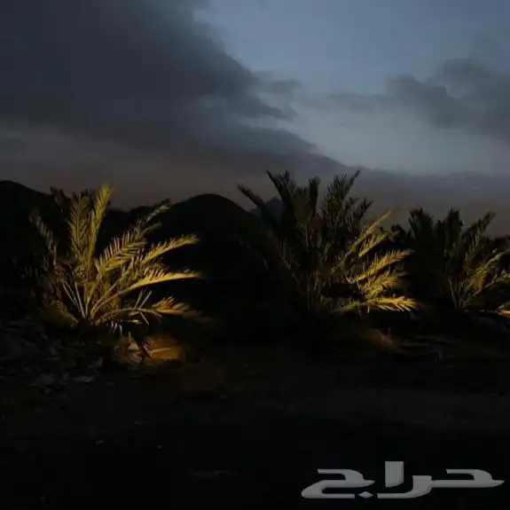 استراحه الأحبه 27