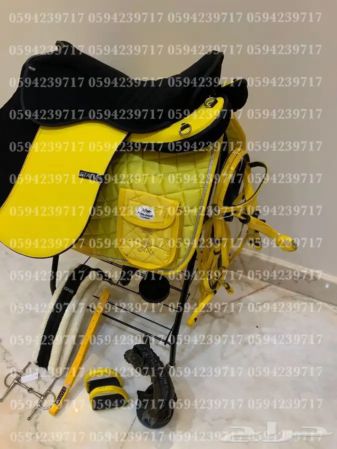 طقم سرج ستيتوس 1