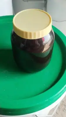 نحل ومايخص النحل والعسل(مربين ومشرفين ومؤسسين)للنحل وسلالتها 17