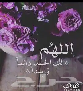 نحل ومايخص النحل والعسل(مربين ومشرفين ومؤسسين)للنحل وسلالتها 18