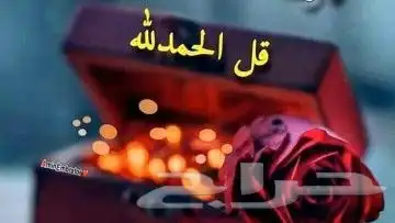 نحل ومايخص النحل والعسل(مربين ومشرفين ومؤسسين)للنحل وسلالتها 22