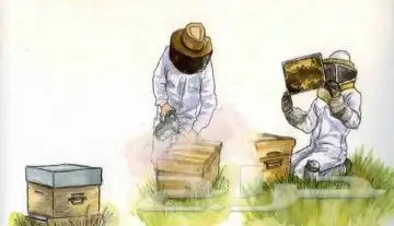 نحل ومايخص النحل والعسل(مربين ومشرفين ومؤسسين)للنحل وسلالتها 7