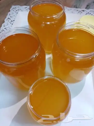 سمن غنم صافي بدون اضافات 0