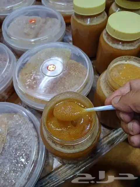 عسل سمره متبلور 1