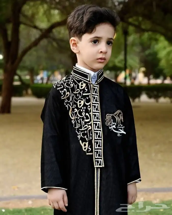 تفصيل دقلات وسديريات 4