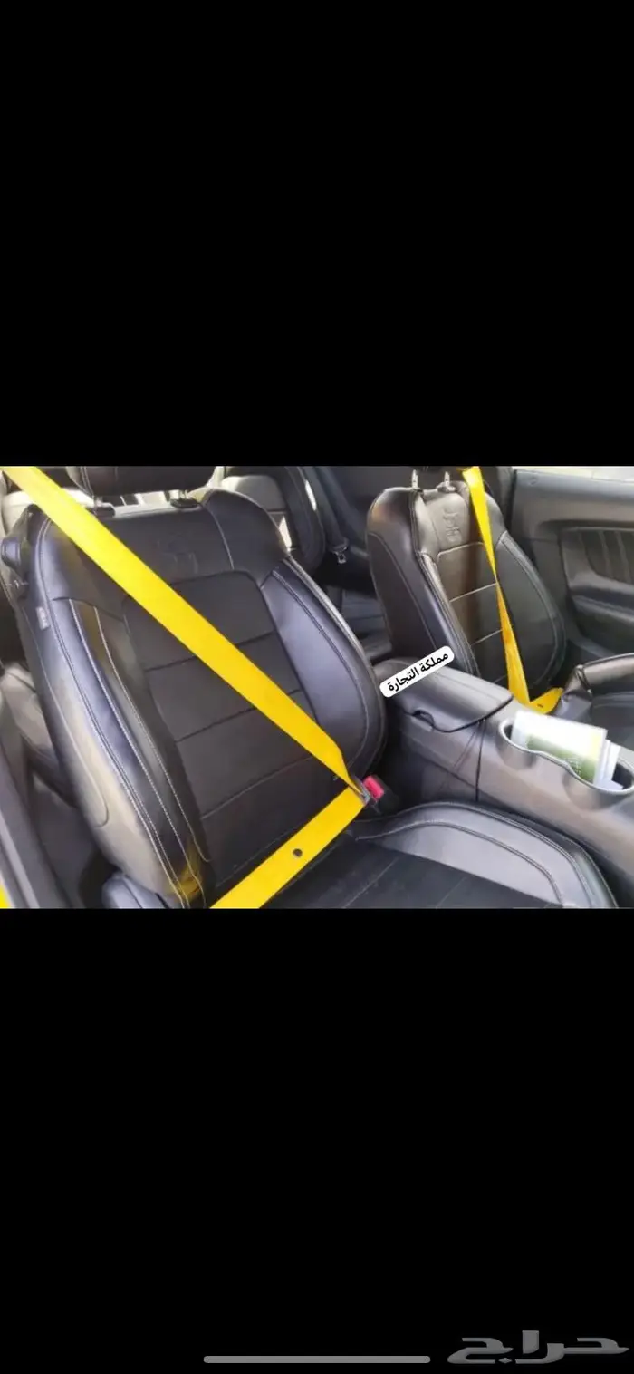 اصلاح الجلد والديكورات الجلدية احزمة امان ملونة 6