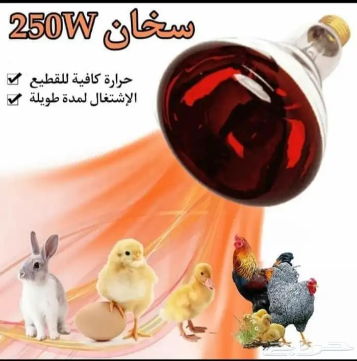 دفايات غازية لمبة سيراميك الجميع انواع الطيور وصوص 3