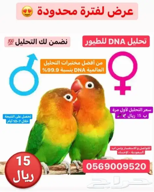 العرض لفترة محدودة   في مندوب في الرياض والدمام اخر يوم 0