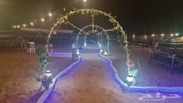 مخيم تبوك قسم واحد متعوب عليييه خميس و جمعة 700 13