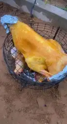 شبك مندي بجميع المقاسات 2