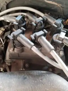 غيور ودفرنسات 5