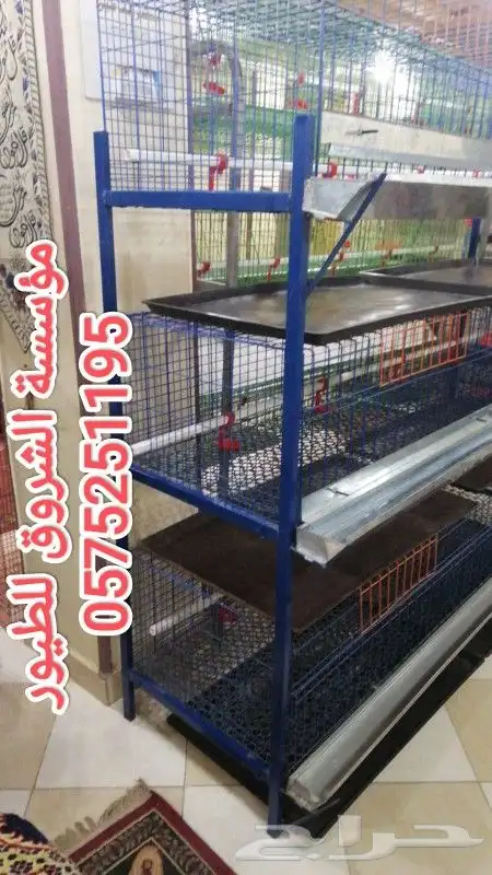 بطاريات دجاج لاحم 5