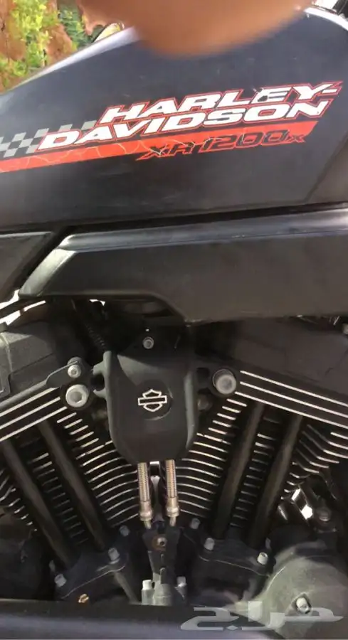هارلي ديفيدسون سبورتستر XR1200x موديل 2010 16