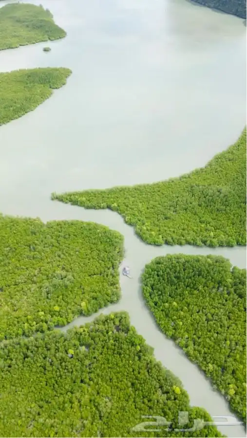 تصوير درون لجميع العقارات أراضي فلل مباني مزارع drone مصور 10