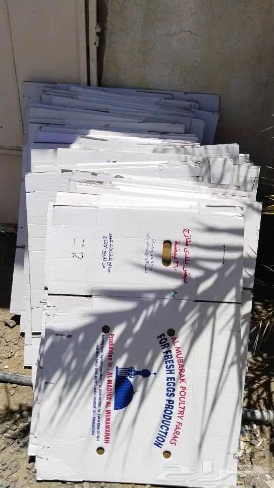 كراتين بيض فاضيه لنقل اللعفش 3