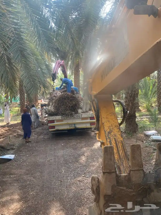 بوكلين كفرات المدينة المنورة للإيجار 0