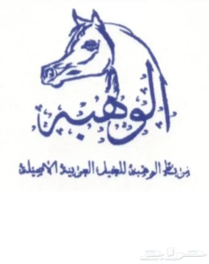 خيل للبيع 0