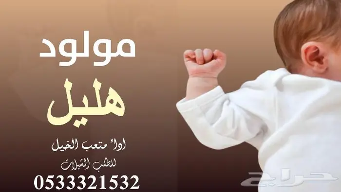 منشد شيلات شاعر جزل 3