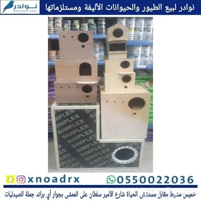 طيور زينة ومستلزماتها محل نوادر خميس مشيط 6