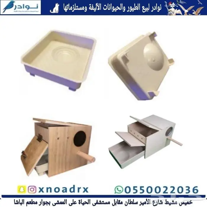 طيور زينة ومستلزماتها محل نوادر خميس مشيط 14