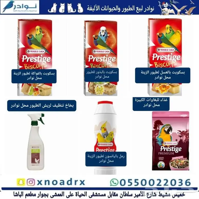 طيور زينة ومستلزماتها محل نوادر خميس مشيط 50