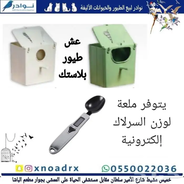 طيور زينة ومستلزماتها محل نوادر خميس مشيط 43