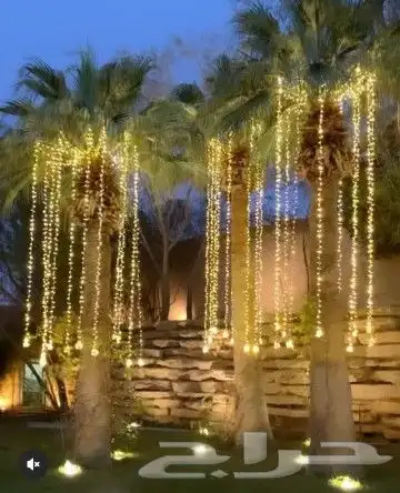 لمبات زينه بيبي ليد 0