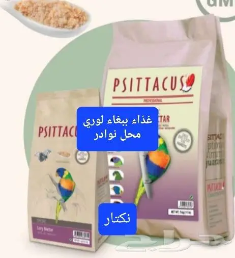 سرلاك طيور ملعقة غر لي غر محل نوادر 7