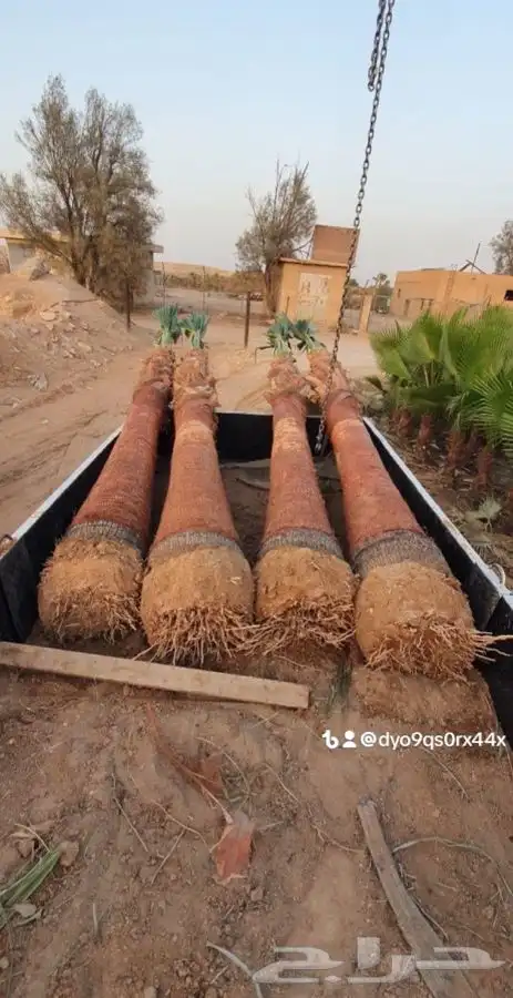 ثيل cl2000 الخرج نخل وشنطونيه 66
