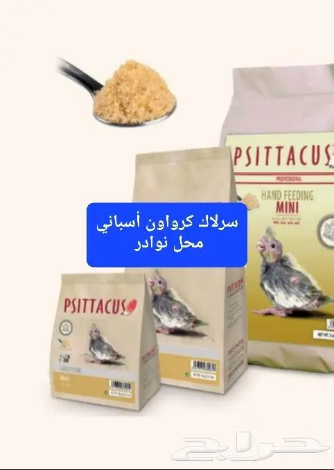 سرلاك طيور ملعقة غر لي غر محل نوادر 5