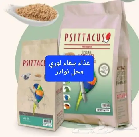 سرلاك طيور ملعقة غر لي غر محل نوادر 8
