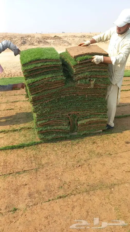 ثيل cl2000 الخرج نخل وشنطونيه 58