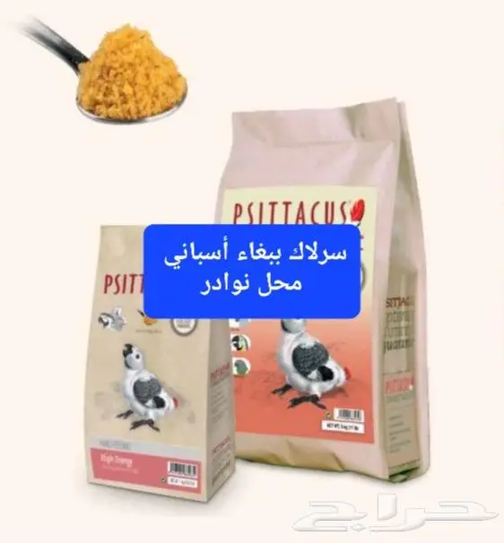 سرلاك طيور ملعقة غر لي غر محل نوادر 6