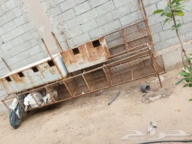 البيع صندقه دجاج وقفصان تحميل 0