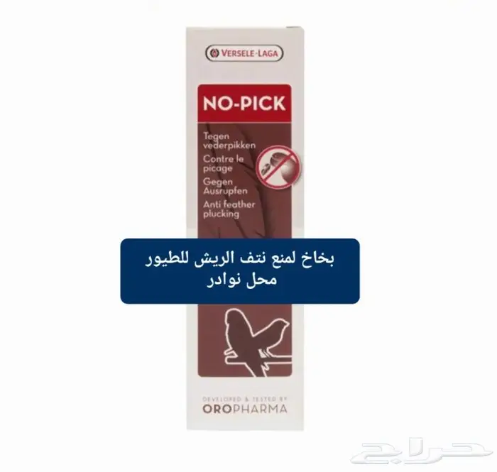 سرلاك طيور ملعقة غر لي غر محل نوادر 3