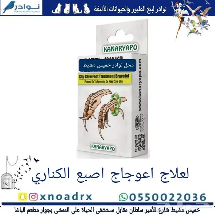 سرلاك طيور ملعقة غر لي غر محل نوادر 29