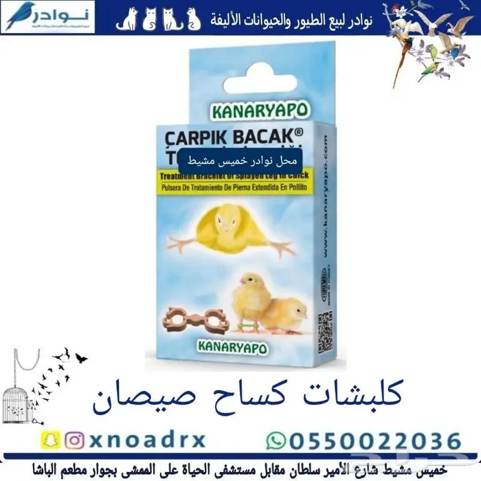 سرلاك طيور ملعقة غر لي غر محل نوادر 30