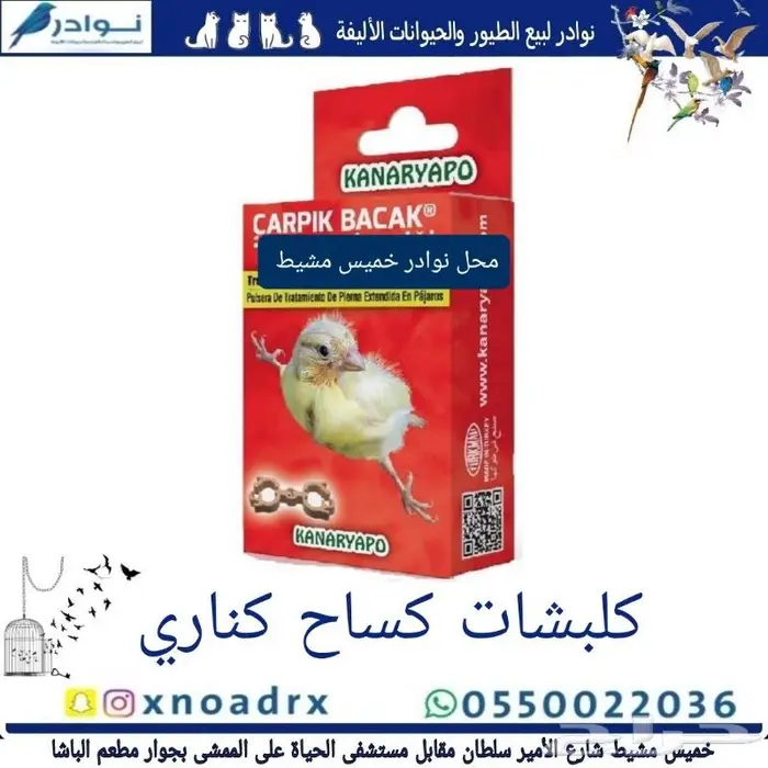 سرلاك طيور ملعقة غر لي غر محل نوادر 31