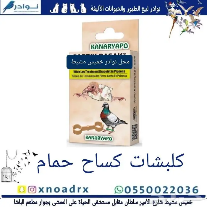 سرلاك طيور ملعقة غر لي غر محل نوادر 33