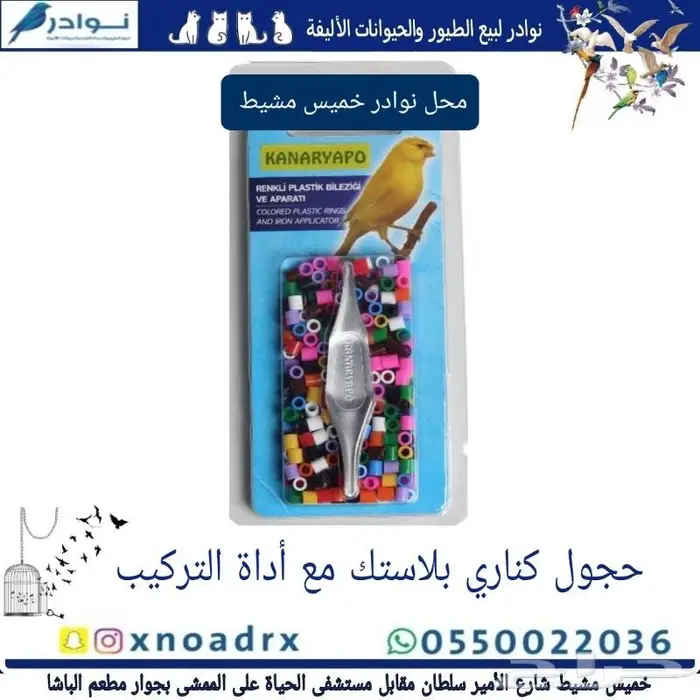 سرلاك طيور ملعقة غر لي غر محل نوادر 36