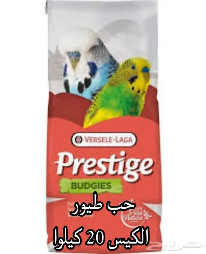 سرلاك طيور ملعقة غر لي غر محل نوادر 41