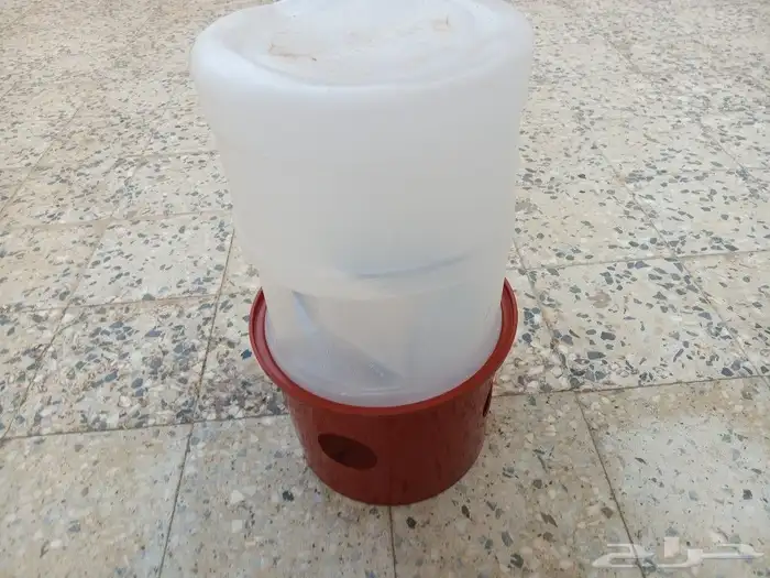للبيع سقاية الدبة مغلقة 1