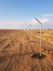 توريدوتركيب الشبوك 3