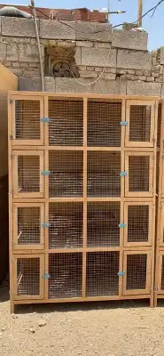 محاكر قفص تفصيل 30