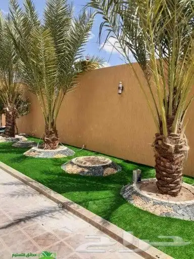 تنسيق حدتق وتركيب ديكورات 1