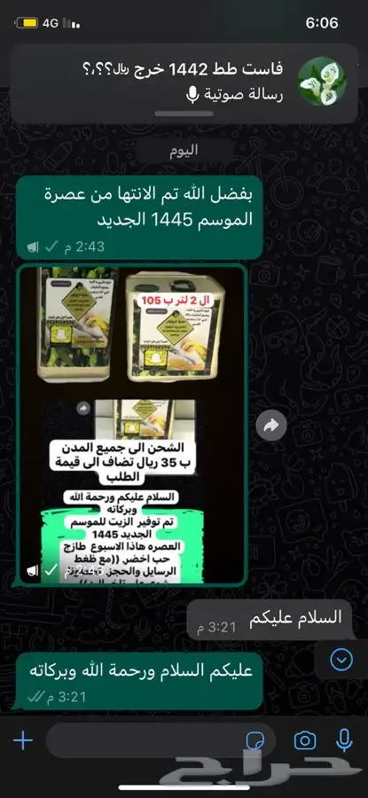 زيت زيتون نخبة الزيتون 1446 جديد عصره اولى على البارد 6