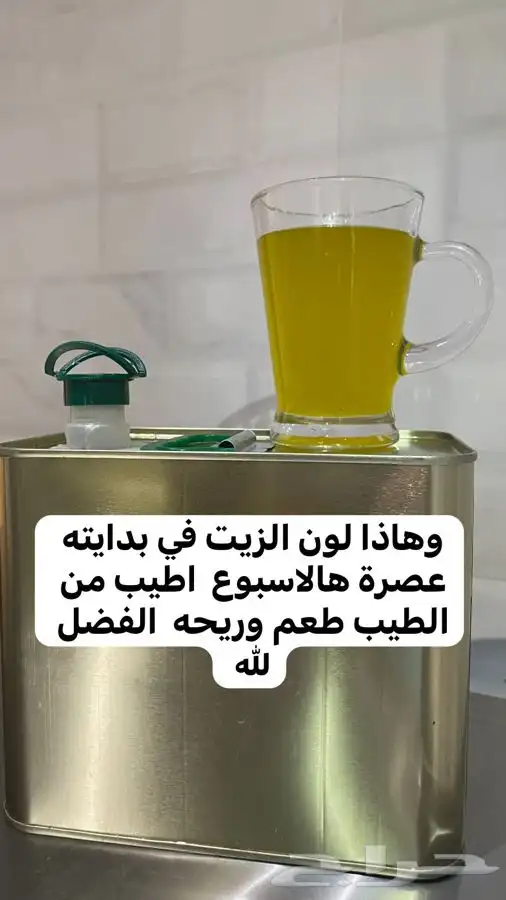 زيت زيتون نخبة الزيتون 1447 عصره اولى بارد مضمون 8