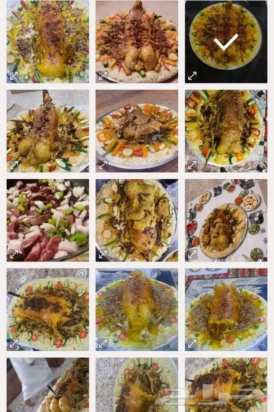 طباخ متنقل 2