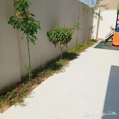 تنسيق الحدائق 22